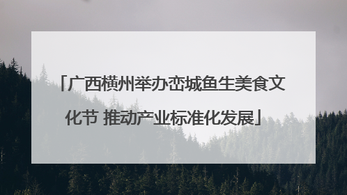 广西横州举办峦城鱼生美食文化节 推动产业标准化发展