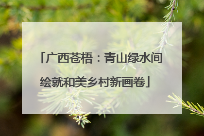 广西苍梧：青山绿水间绘就和美乡村新画卷