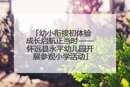 幼小衔接初体验 成长启航正当时——怀远县永平幼儿园开展参观小学活动