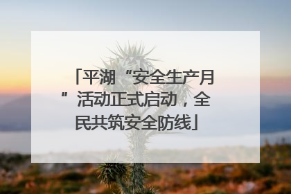 平湖“安全生产月”活动正式启动，全民共筑安全防线