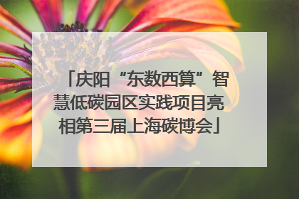 庆阳“东数西算”智慧低碳园区实践项目亮相第三届上海碳博会