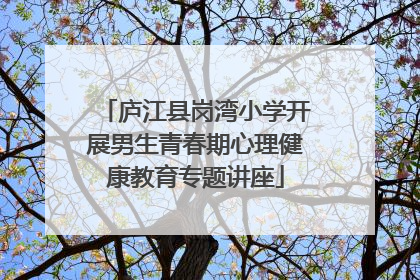 庐江县岗湾小学开展男生青春期心理健康教育专题讲座