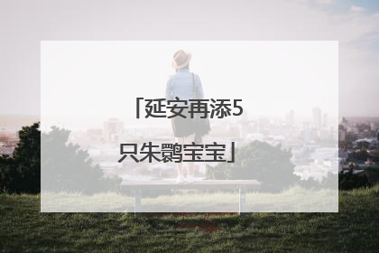 延安再添5只朱鹮宝宝