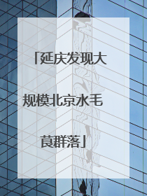 延庆发现大规模北京水毛茛群落
