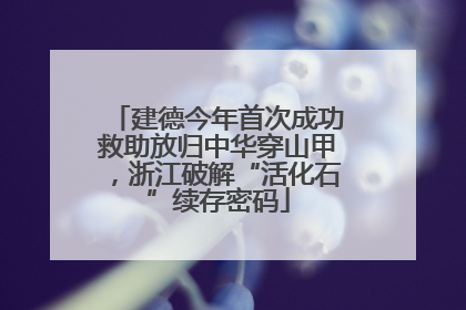 建德今年首次成功救助放归中华穿山甲，浙江破解“活化石”续存密码