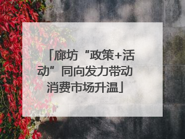 廊坊“政策+活动”同向发力带动消费市场升温