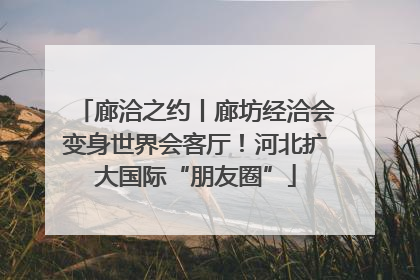 廊洽之约丨廊坊经洽会变身世界会客厅！河北扩大国际“朋友圈”