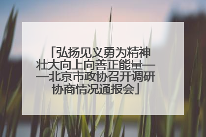 弘扬见义勇为精神 壮大向上向善正能量——北京市政协召开调研协商情况通报会