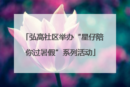 弘高社区举办“星仔陪你过暑假”系列活动