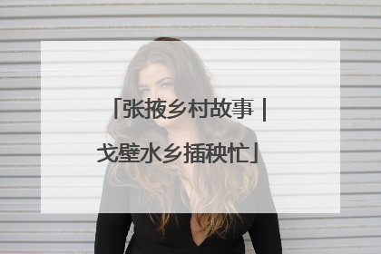 张掖乡村故事｜戈壁水乡插秧忙