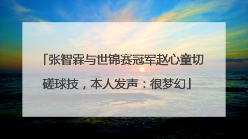 张智霖与世锦赛冠军赵心童切磋球技，本人发声：很梦幻