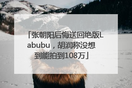 张朝阳后悔送回绝版Labubu，胡润称没想到能拍到108万