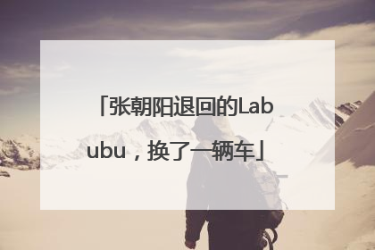 张朝阳退回的Labubu，换了一辆车