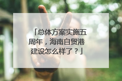 总体方案实施五周年，海南自贸港建设怎么样了？