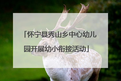 怀宁县秀山乡中心幼儿园开展幼小衔接活动
