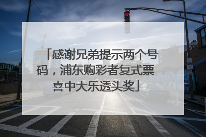 感谢兄弟提示两个号码，浦东购彩者复式票喜中大乐透头奖