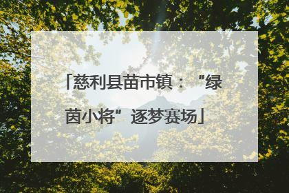 慈利县苗市镇：“绿茵小将”逐梦赛场