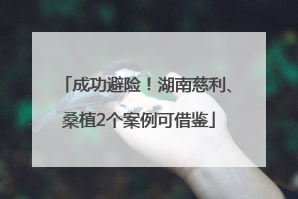 成功避险！湖南慈利、桑植2个案例可借鉴