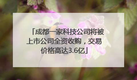 成都一家科技公司将被上市公司全资收购，交易价格高达3.6亿