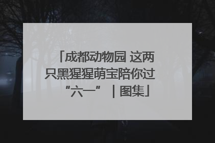 成都动物园 这两只黑猩猩萌宝陪你过“六一”｜图集