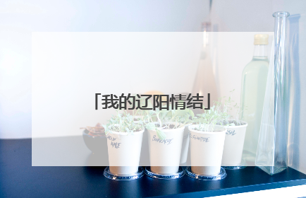 我的辽阳情结