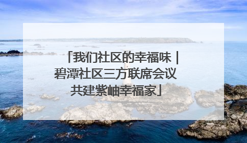 我们社区的幸福味｜碧潭社区三方联席会议共建紫岫幸福家