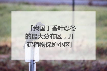 我国丁香叶忍冬的最大分布区，开建植物保护小区