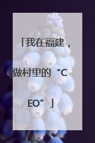 我在福建，做村里的“CEO”