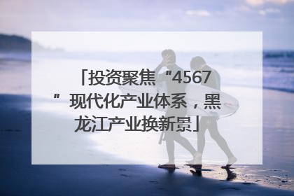 投资聚焦“4567”现代化产业体系，黑龙江产业换新景
