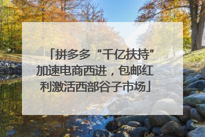 拼多多“千亿扶持”加速电商西进，包邮红利激活西部谷子市场