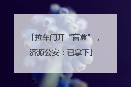 拉车门开“盲盒”，济源公安：已拿下