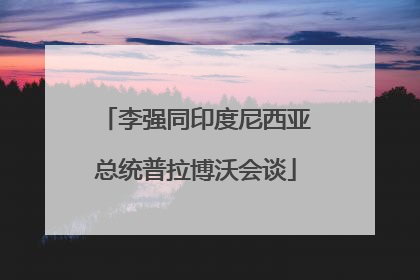 李强同印度尼西亚总统普拉博沃会谈