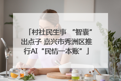 村社民生事 “智囊”出点子 嘉兴市秀洲区推行AI“民情一本账”