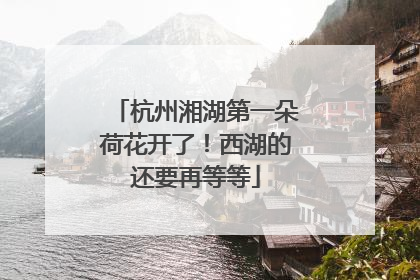 杭州湘湖第一朵荷花开了！西湖的还要再等等