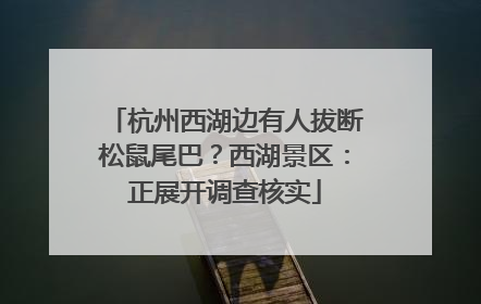 杭州西湖边有人拔断松鼠尾巴？西湖景区：正展开调查核实