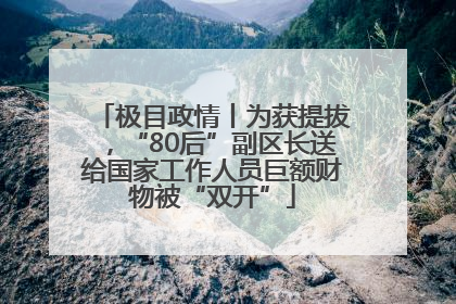 极目政情丨为获提拔，“80后”副区长送给国家工作人员巨额财物被“双开”
