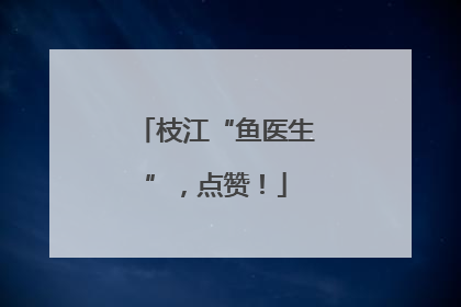 枝江“鱼医生”，点赞！