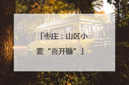 枣庄：山区小麦“喜开镰”