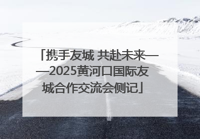 携手友城 共赴未来——2025黄河口国际友城合作交流会侧记
