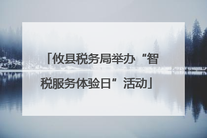 攸县税务局举办“智税服务体验日”活动