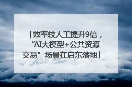 效率较人工提升9倍，“AI大模型+公共资源交易”场景在启东落地