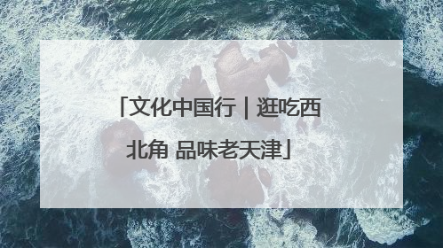 文化中国行｜逛吃西北角 品味老天津