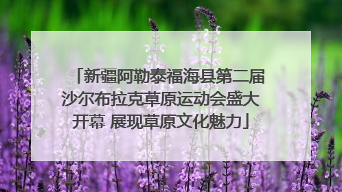 新疆阿勒泰福海县第二届沙尔布拉克草原运动会盛大开幕 展现草原文化魅力