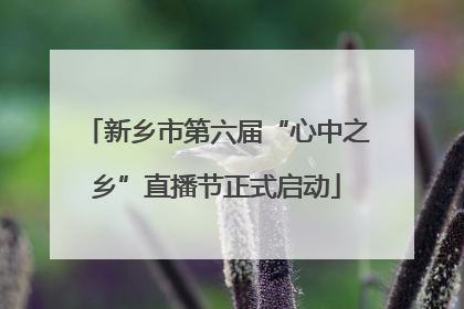 新乡市第六届“心中之乡”直播节正式启动