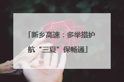 新乡高速：多举措护航“三夏”保畅通