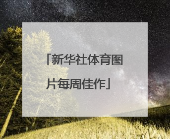 新华社体育图片每周佳作