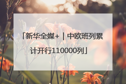 新华全媒+｜中欧班列累计开行110000列