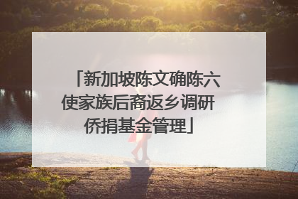 新加坡陈文确陈六使家族后裔返乡调研侨捐基金管理