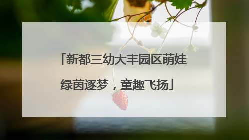 新都三幼大丰园区萌娃绿茵逐梦，童趣飞扬