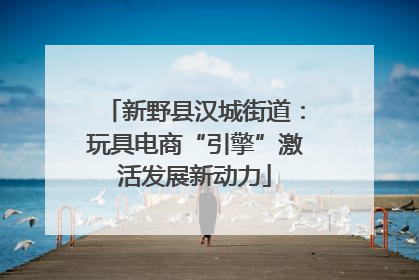 新野县汉城街道：玩具电商“引擎”激活发展新动力